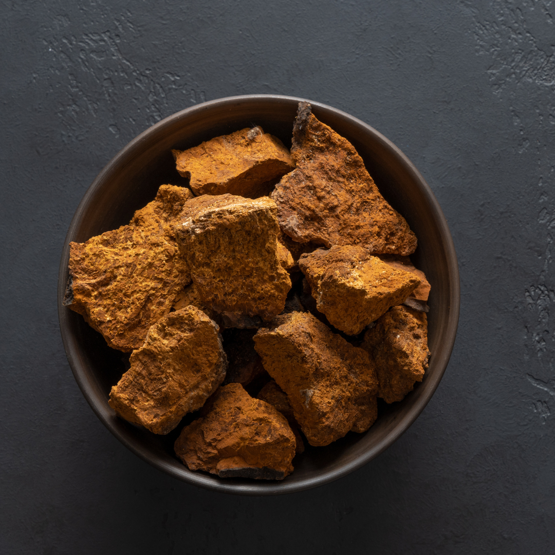 Brain Food Mushrooms