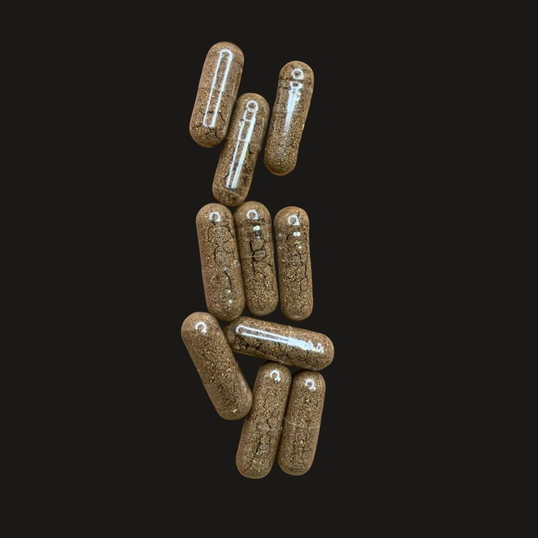 Four Mushroom Blend Brain Food Supplement